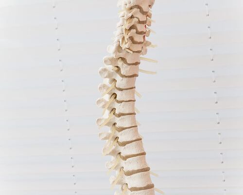 spine-disc-move-lumbar-disc-herniation