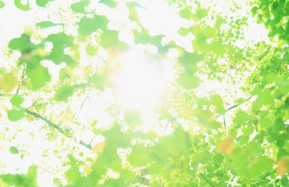 上新庄の整骨院で腰痛やぎっくり腰でお悩みのかたはココ整骨院へ
